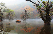 주산지